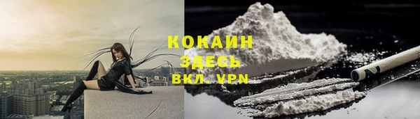 крисы Балахна