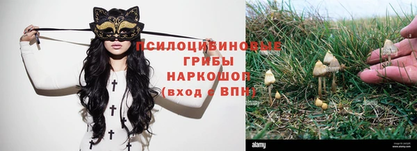 крисы Балахна
